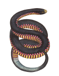 Snake Vintage Clipart