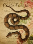 Snake Vintage Floral Postcard