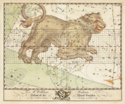 Зодиак астрология Лев