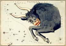 Astrologia do Zodíaco Taurus