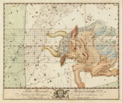 Astrologia do Zodíaco Taurus