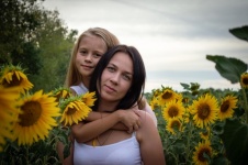 Sunflowers, field, family, mom