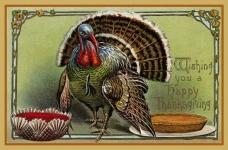 Rocznika karta indyka na Święto Dziękczy