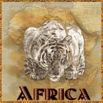 Poster de viagens tigre áfrica