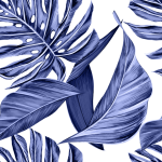 Tropische Blätter abstrakter Hintergrund