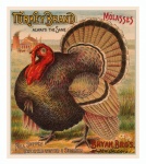 Turkey Vintage Art Advert