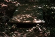 View of wooden platform over trench