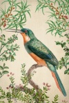 Vintage Kunst tropisch Vogel