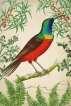 Vintage kunst tropische vogel