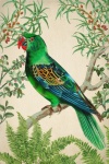 Винтажное искусство тропическая птица