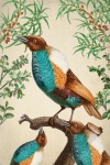 Vintage Art Tropical Bird