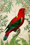 Pássaro tropical de arte vintage