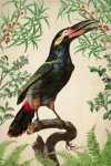 Tropikalny ptak w stylu vintage