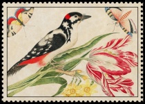 Птица цветок старинное искусство