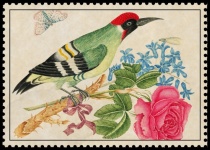 Arte vintage de flor de pájaro