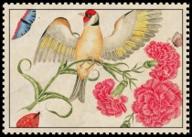 Arte vintage com flor de pássaro