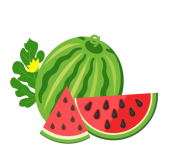 Fructe de pepene verde Ilustrație Art