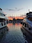 Marina di Cannes