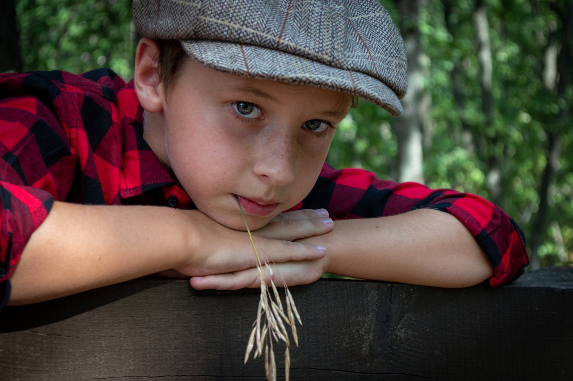 Boy, Blade Of Grass Free Stock Photo - Public Domain Pictures
