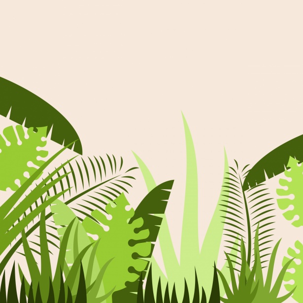 Jungle Leaves Tropical Backdrop Free Stock Photo - Public Domain Pictures