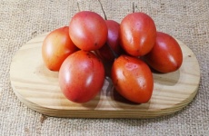 Un groupement de tomates rouges mûres