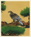 Adler Japan Vintage Kunst