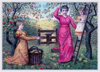Pommes Cueillette Art Vintage