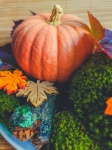 Autumn pumpkin arrangement