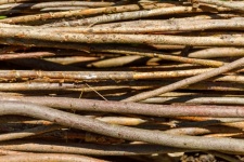 Brown twigs background