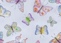 Butterfly, Flutter, Butterflies