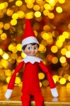 Christmas Elf On Bokeh Background