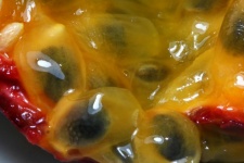 Close View Of Granadella Fruit Pulp
