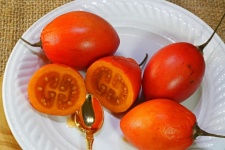 Arbre coupé, tomate, fruit, sur, plaque