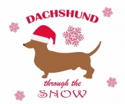 Sombrero de Navidad para perro Dachshund