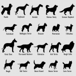 Fond de silhouettes de races de chiens