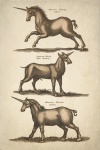 Unicorn creaturi mitice arta vintage