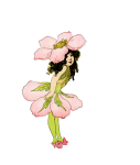 Virág vadrózsa lány