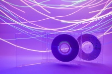 Freezelight, cd disc, neon, luminos