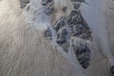 Gletsjer bedekt met sneeuw