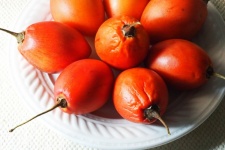 Grouping Of Ripe Tree Tomato Fruit