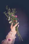 Ręka, kwiaty, botanika