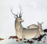 Deer Deer Vintage Art