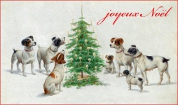 Psy Boże Narodzenie sztuka vintage
