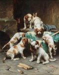 Câini cățeluși vintage vechi