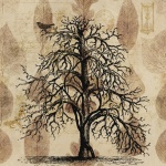 Vintage Autumn Tree Poster