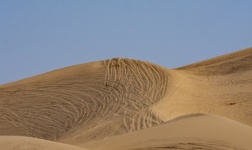 Písečná duna