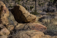 Desert rocks and brush