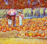 Love in the pumpkin patch