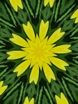 Flor amarela com brilho verde