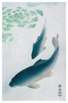 Japonia Koi Fish Vintage